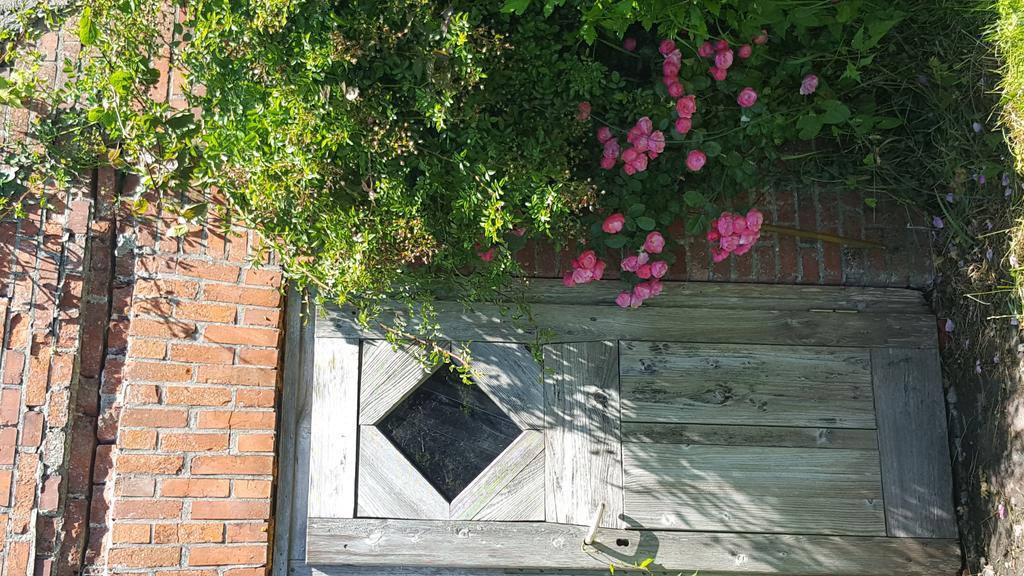 Ferienwohnungen Zollhaus Utlandshoern Norden Esterno foto